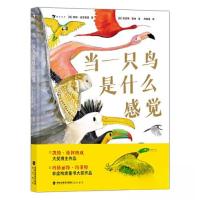 正版新书]当一只鸟是什么感觉[英]蒂姆·伯克黑德9787556710812