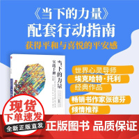 当下的力量实践手册 白金版 当下的力量 实修指南 张德芬 埃克哈特 托利经典 心灵与修养 中信出版社 正版书籍