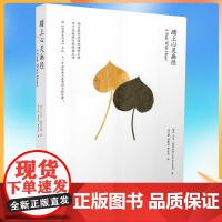 正版 踏上心灵幽径 [美]杰克·康菲尔德/著 深圳报业集团出版社