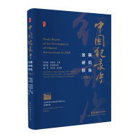 正版新书]中国纪录片发展研究报告(2021)张同道胡智锋9787504385