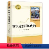人教版 钢铁是怎样炼成的 [正版]钢铁是怎样炼成的 八年级下册初中二年级初中原著完整版8年级阅读课外书初中生语文新版人民
