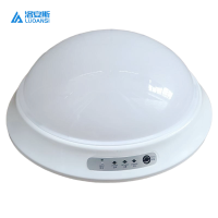 洛安斯 应急吸顶灯 12W 个