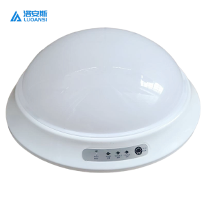 洛安斯 应急吸顶灯 12W 个