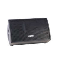 戴阳单12寸返听专业音箱T24(联系客服发货)