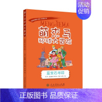 蓝宝石寻踪 [正版]萌杰马环球大冒险 蓝宝石寻踪(荷兰) 人民教育出版社小学生课外阅读书籍儿童文学经典读物作品课外书