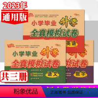 [正版]小学毕业升学全真模拟试卷语文数学英语共3册 2023年小考使用6六年级通用小升初中考试复习试卷资料专项辅导练习