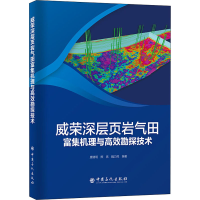 正版新书]威荣深层页岩气田富集机理与高效勘探技术唐建明, 熊亮