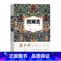 [正版]斑斓志 张炜深情书写苏东坡大江东去、波澜壮阔的一生