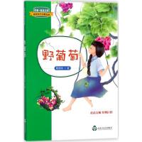 正版新书]经典·悦读文库.葛翠琳作品精选集?野葡萄葛翠琳9787551
