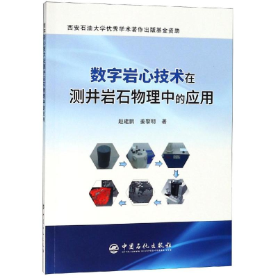 醉染图书数字岩心技术在测井岩石物理中的应用9787511451347