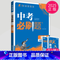 中考地理 [正版]2024新版初中必刷题九年级上册下册数学英语化学物理九下人教版苏科版苏教版沪教江苏初三必刷题9年级上学