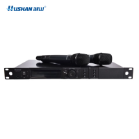 湖山 无线麦克风(一拖二无线话筒) DS-UT20 套