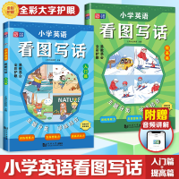 音像小学英语看图写话(入门篇+提高篇)上海元远教育
