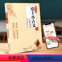 [正版]爱上小古文 提高篇 小学生3-4-5-6年级语文小古文经典课内外阅读训练辅导读物 小古文赏析解析教辅书