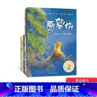 [正版]第2辑全9册平装聪明豆绘本系列图画书适合2岁3岁4岁5岁6岁7岁8岁儿童课外阅读童书