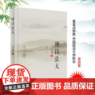 何以法大 黄进著 精装版 中国政法大学出版社 9787562088592 政法大学校史文集 回忆 正版