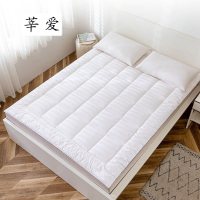 莘爱褥子100×200cm/条