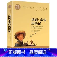 汤姆索亚历险记 [正版]名著任选初中生世界名着全套原着书籍小说经典儿童文假如给我三天光明昆虫记爱的教育海底两万里简爱中小