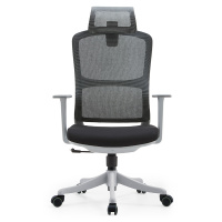 匡大办公椅网布高级办公椅电脑椅带头枕LM-159A-1