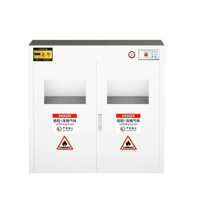 不锈钢气瓶柜 201矮双瓶液化气报警