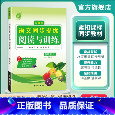 语文 五年级上 [正版]2024年秋小学语文实验班同步提优阅读与训练五年级上册人教版 小学生语文5年级上册RJ版同步专项