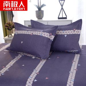 枕头套单个枕芯套枕罩枕头芯内胆套枕皮48*74cm枕套一对装春夏秋冬季