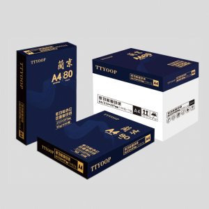 TTYOOP 蘭京A4多功能复印纸 80g 500张/包 5包/箱(计价单位:箱)