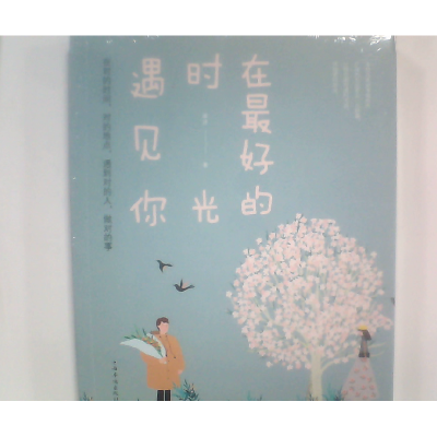 正版新书]在最美的时光遇见你雅诗9787511377227