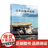 喵~欢迎来到日本的猫咪旅馆