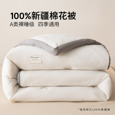 冬被新疆纯棉花被子被芯秋冬天棉被棉絮冬季加厚保暖单人春秋被褥