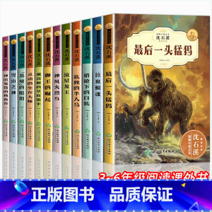 [12册]沈石溪动物小说大王系列 [正版]全套沈石溪动物小说大王全集十大经典必读小学生三四至五六年级课外书必读老师的作品