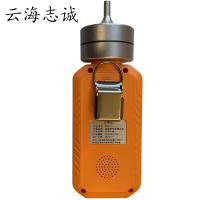 网络型气体测试仪 WT310 1套