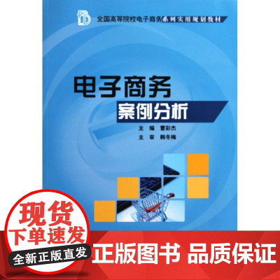 电子商务案例分析(全国高等院校电子商务系列实用规划教材)
