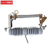 爱新优 跌落式熔断器 RW12-15/200A 只