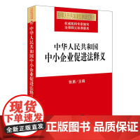 中华人民共和国中小企业促进法释义