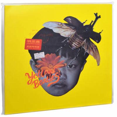 正版钱正昊黄色甲壳虫2019专辑唱片LP彩胶+CD
