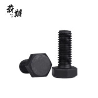 蔚期 GB5783全螺纹六角头螺栓 M10*30 个