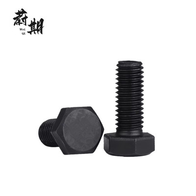 蔚期 GB5783全螺纹六角头螺栓 M10*30 个