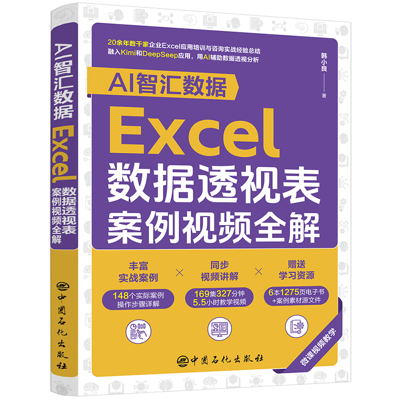 正版新书]AI智汇数据:EXCEL数据透视表案例视频全解韩小良 著97