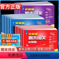 新版⭐语文+数学+英语人教版[3本套装] 四年级下 [正版]2024春小学实验班期末闯关必刷卷四年级下册语文人教RJ数学