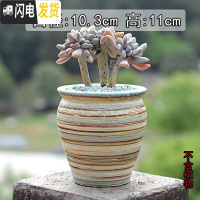 三维工匠景德镇陶瓷大口径肉肉植物花盆中大号粗陶透气盆栽 陶盆手绘(有孔) 大花盆容器