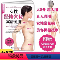 [正版]书女性经络穴位高清图册穴位大图说系列 女性经络穴位按摩大全 穴位图人体经络穴位图穴位按摩书养生书籍
