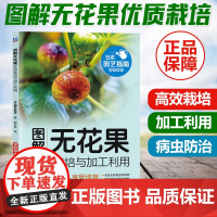 图解无花果优质栽培与加工利用 栽培管理 整形修剪 加工利用图解 果树农业种植种书籍 无花果种植栽培技术书 无花果种植技术