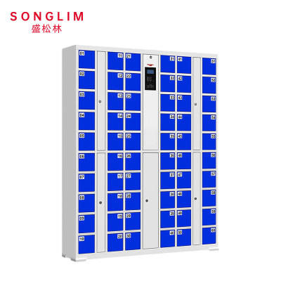 SONGLIM 盛松林 储物柜 1800*1440*300mm 个