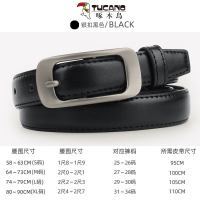啄木鸟皮带女款针扣腰带商务休闲裤带时尚女士皮带简约潮2025新款
