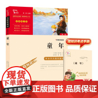 童年 6年级上册快乐读书吧暑假时代文艺出版社经典儿童文学小学生8-9-10-11-12岁阅读课外书正版青少年知识拓展阅读