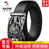 啄木鸟时来运转皮带男牛皮自动扣真皮腰带中青年商务休闲潮流裤带