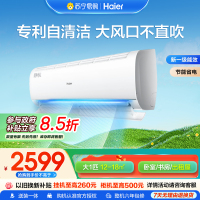海尔空调(Haier) 大1匹变频;新1级节能空调防直吹 56℃高温杀菌;家用空调KFR-26GW/B1KBB81U1