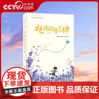 [央视网]北纬30度王梓 叶萍 著 广东人民出版社 9787218112022 GD