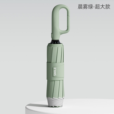 左都 环扣2代-B双龙骨反向(25寸)ZD210-25D-晨雾绿